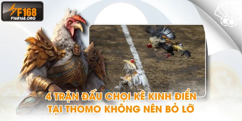 4 trận đấu chọi kê kinh điển tại thomo không nên bỏ lỡ