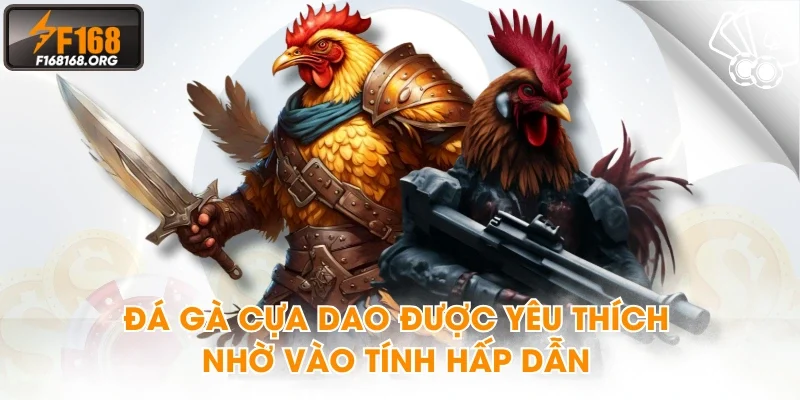 Đá gà cựa dao được yêu thích nhờ vào tính hấp dẫn