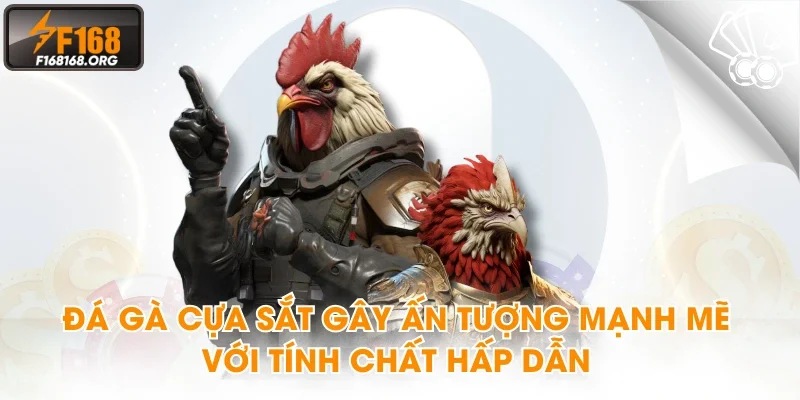 Đá gà cựa sắt gây ấn tượng mạnh mẽ với tính chất hấp dẫn