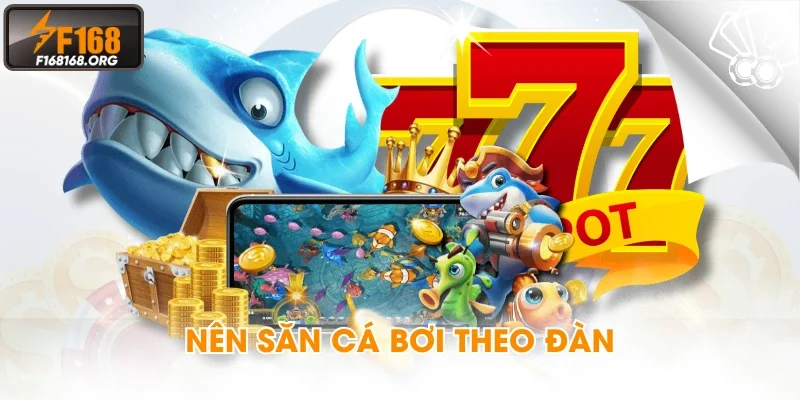 Nên săn cá bơi theo đàn