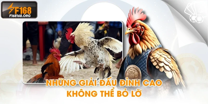 Những giải đấu đỉnh cao không thể bỏ lỡ